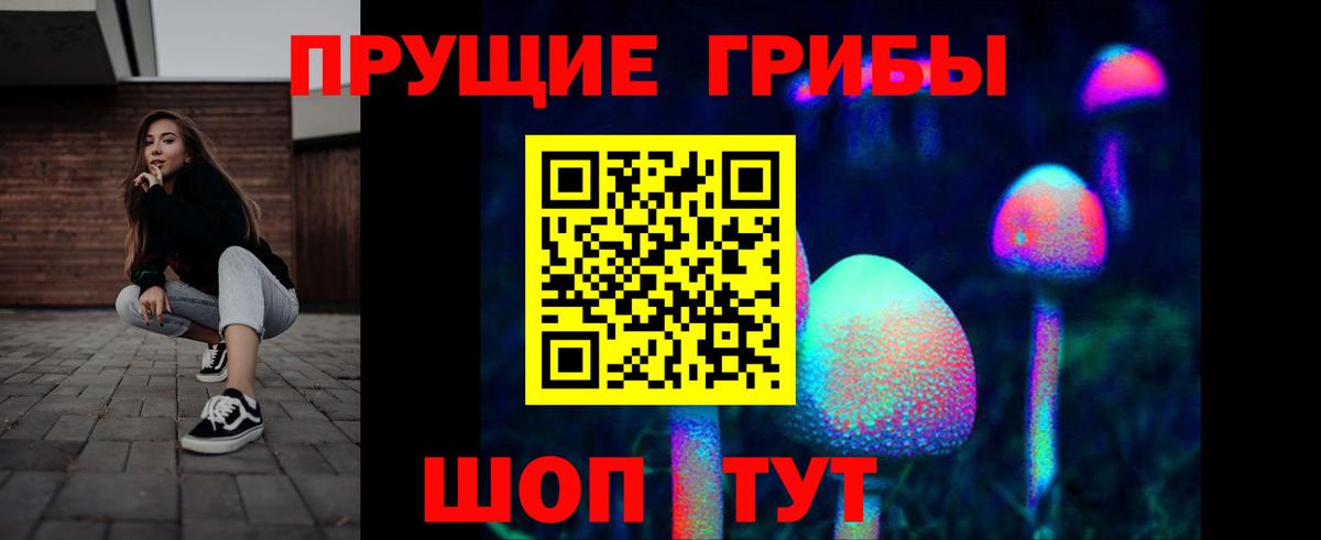 Галлюциногенные грибы мицелий Богородск